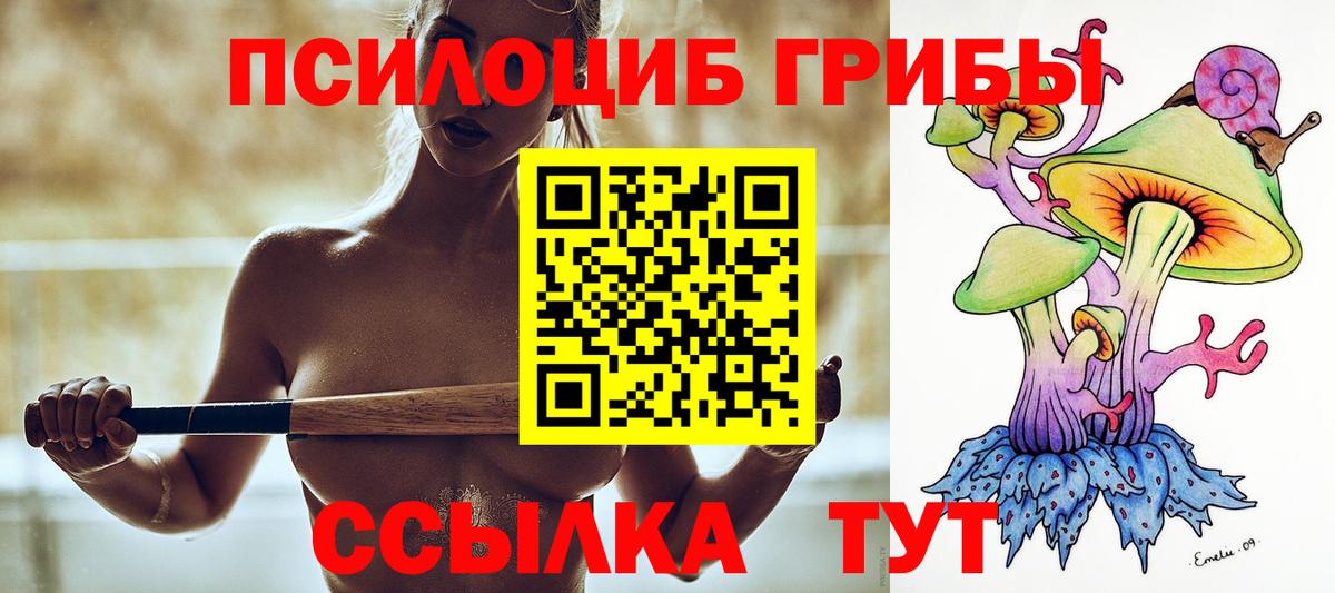 Самара  Псилоцибиновые грибы прущие грибы  Псилоцибиновые грибы MAGIC MUSHROOMS  Вход с VPN 